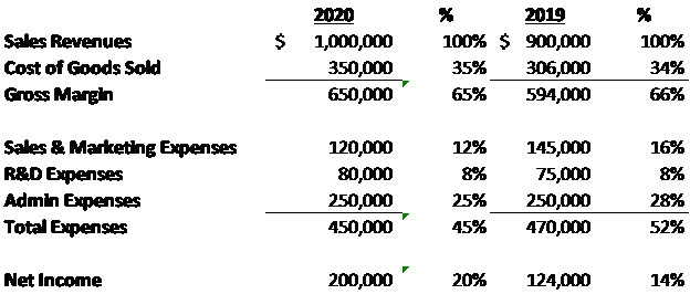 Profit and Loss Statement - Combined analysis